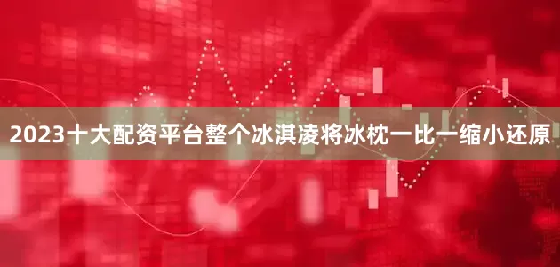 2023十大配资平台整个冰淇凌将冰枕一比一缩小还原