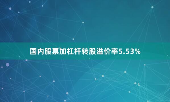 国内股票加杠杆转股溢价率5.53%