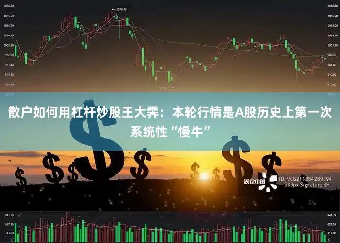 散户如何用杠杆炒股王大霁:本轮行情是A股历史上第一次系统性“慢牛”