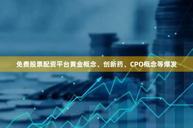 免费股票配资平台黄金概念、创新药、CPO概念等爆发