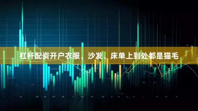 杠杆配资开户衣服、沙发、床单上到处都是猫毛